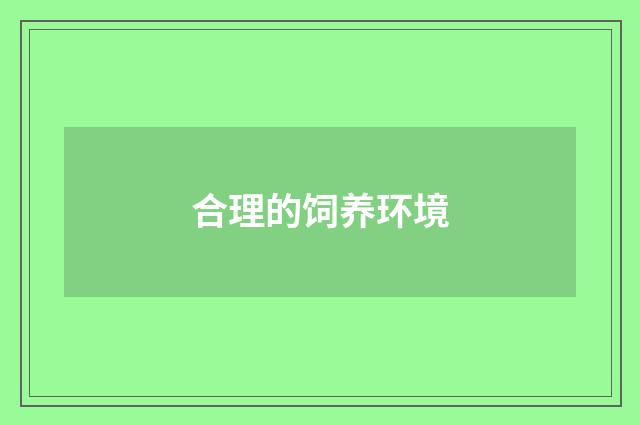 合理的饲养环境