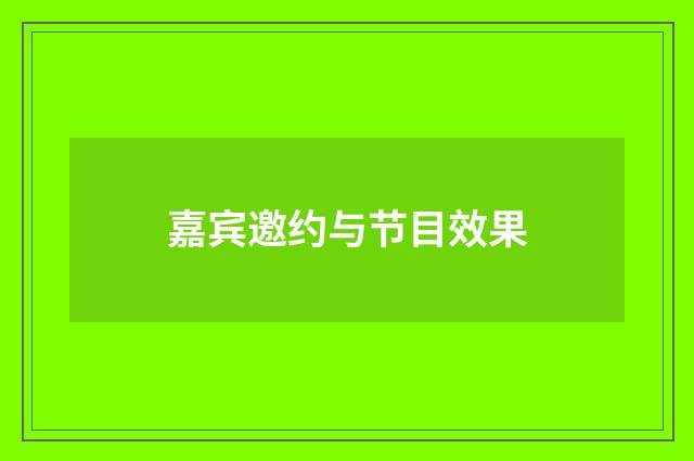 嘉宾邀约与节目效果