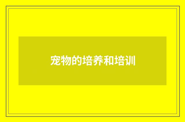 宠物的培养和培训