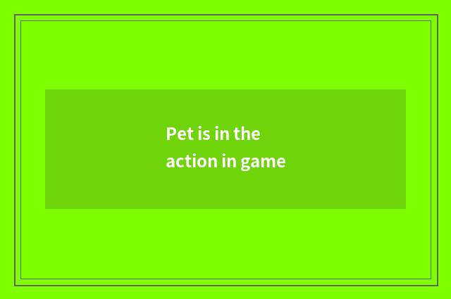 Pet is in the action in game