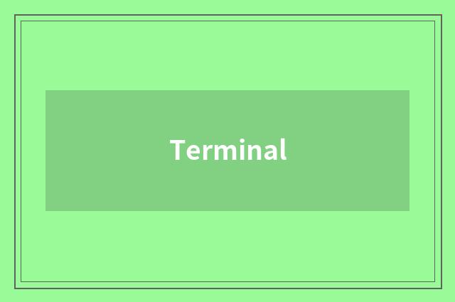 Terminal