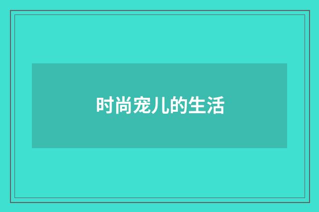 时尚宠儿的生活