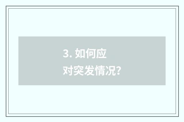 3. 如何应对突发情况？