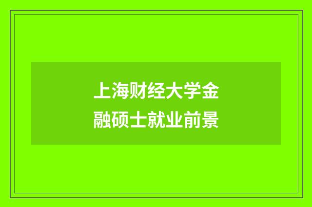 上海财经大学金融硕士就业前景