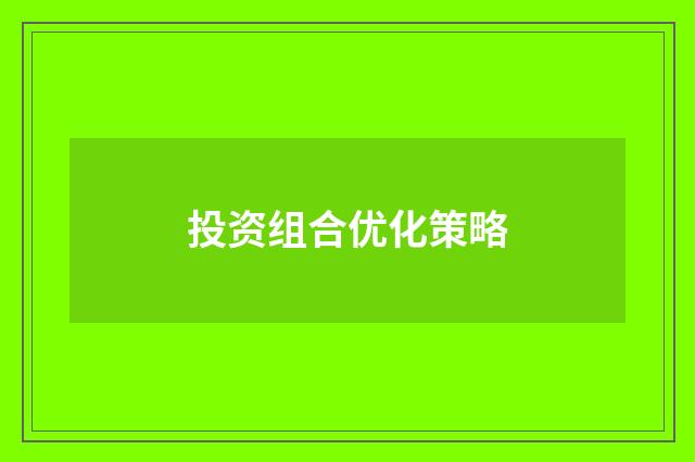 投资组合优化策略