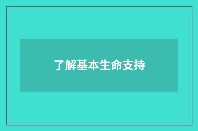 了解基本生命支持