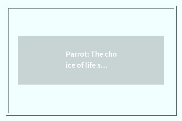 Parrot: The choice of life spouse