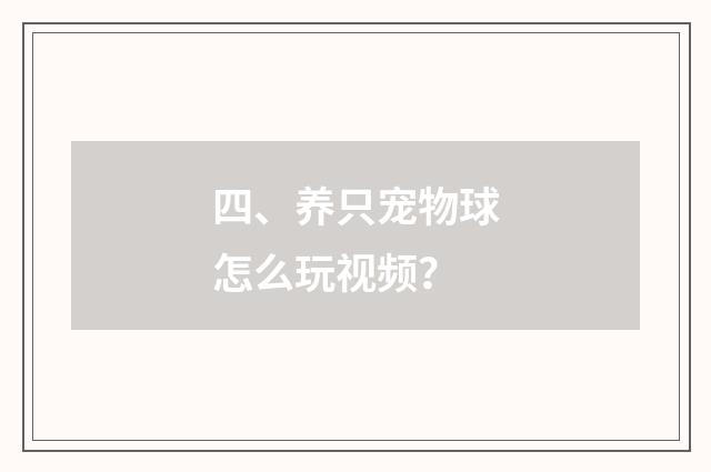 四、养只宠物球怎么玩视频？