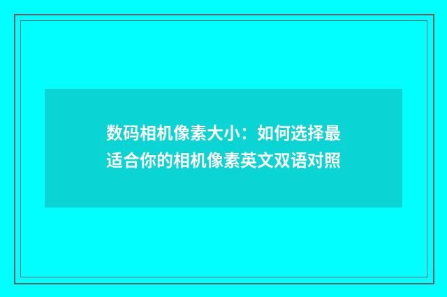 数码相机像素大小：如何选择最适合你的相机像素英文双语对照