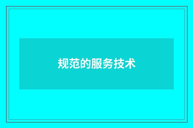 规范的服务技术