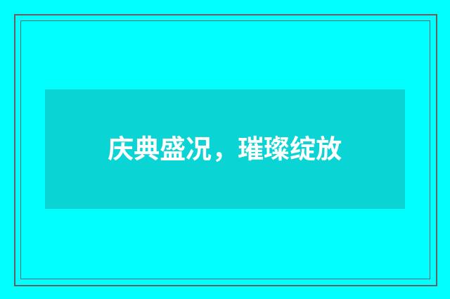 庆典盛况,璀璨绽放
