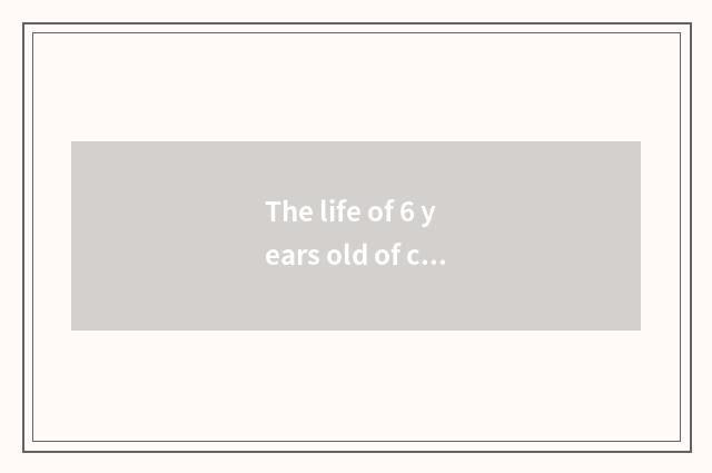 The life of 6 years old of children