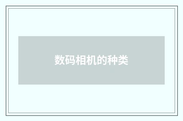 数码相机的种类