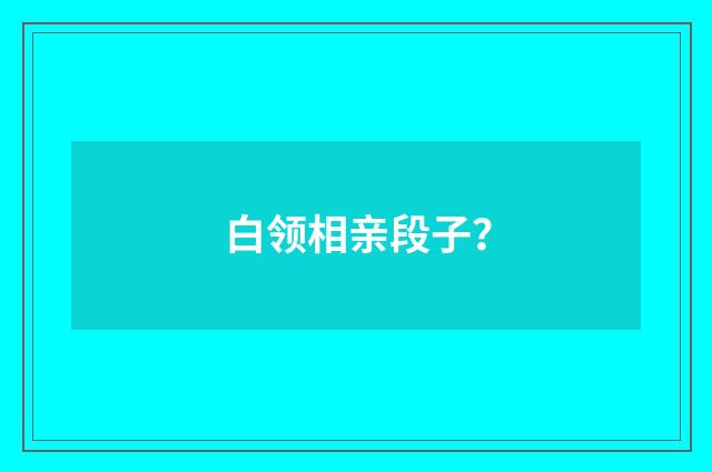 白领相亲段子？