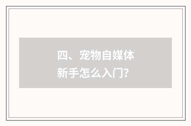 四、宠物自媒体新手怎么入门？
