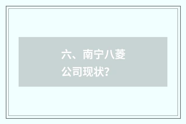 六、南宁八菱公司现状？