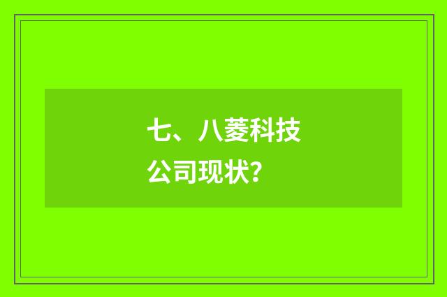 七、八菱科技公司现状？