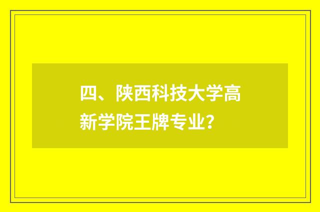 四、陕西科技大学高新学院王牌专业?