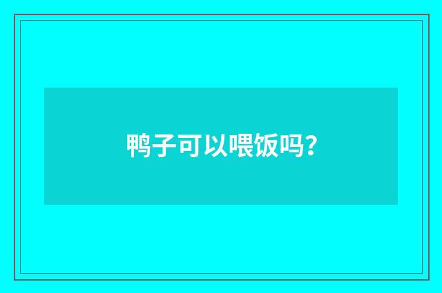 鸭子可以喂饭吗？