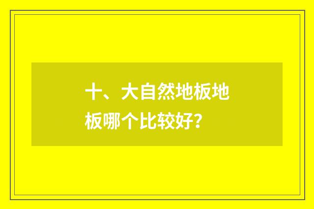 十、大自然地板地板哪个比较好?