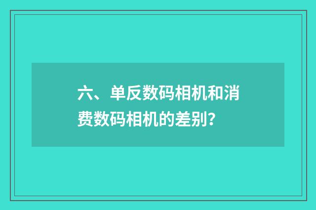 六、单反数码相机和消费数码相机的差别?