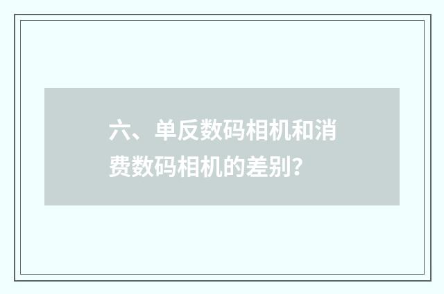六、单反数码相机和消费数码相机的差别？