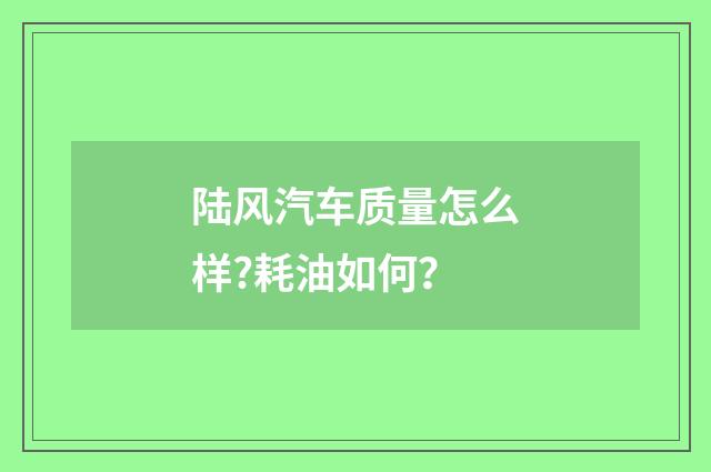 陆风汽车质量怎么样?耗油如何？