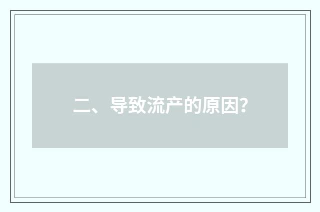 二、导致流产的原因？