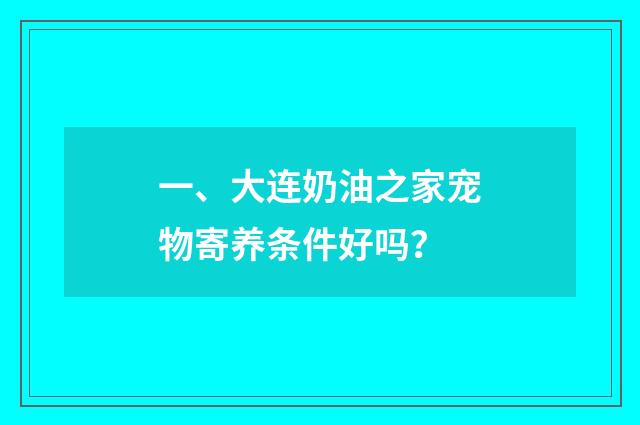 一、大连奶油之家宠物寄养条件好吗?