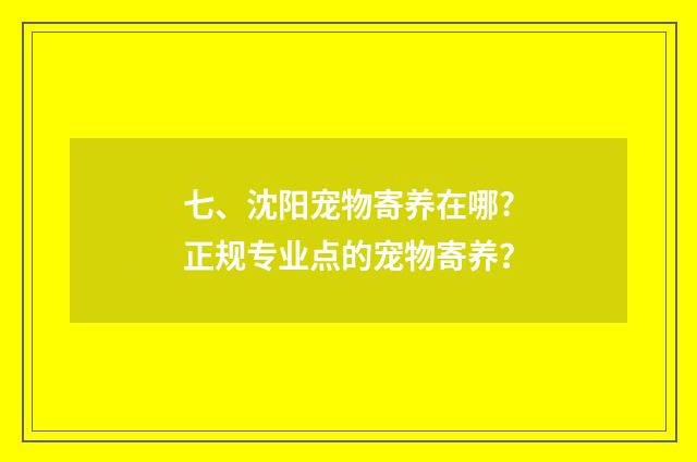 七、沈阳宠物寄养在哪?正规专业点的宠物寄养？