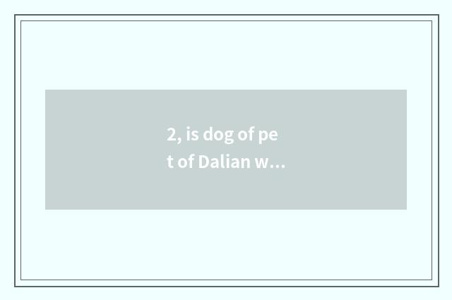 2, is dog of pet of Dalian where fosterage excuse me best?