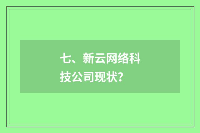 七、新云网络科技公司现状？