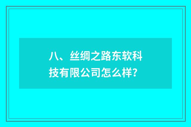 八、丝绸之路东软科技有限公司怎么样？