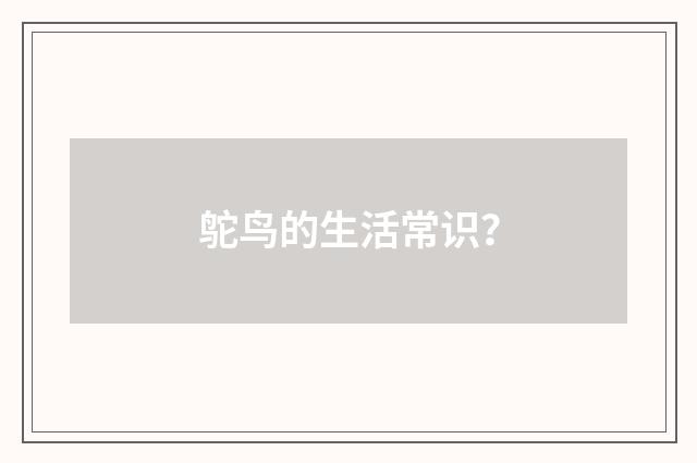 鸵鸟的生活常识？