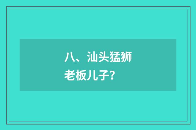 八、汕头猛狮老板儿子?