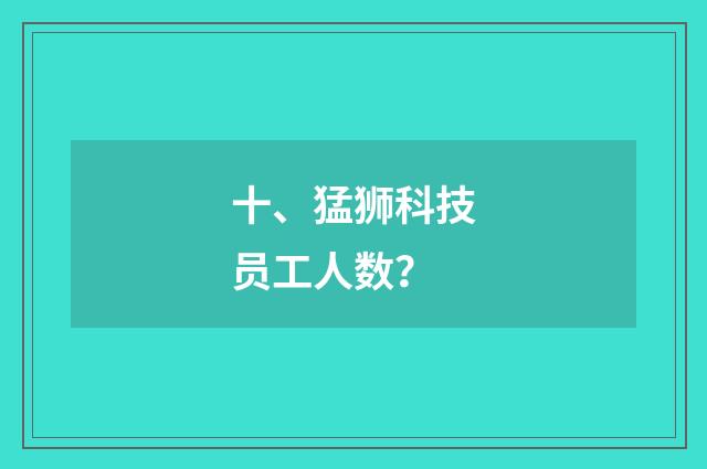 十、猛狮科技员工人数？