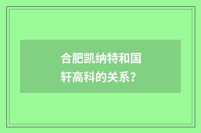 合肥凯纳特和国轩高科的关系？