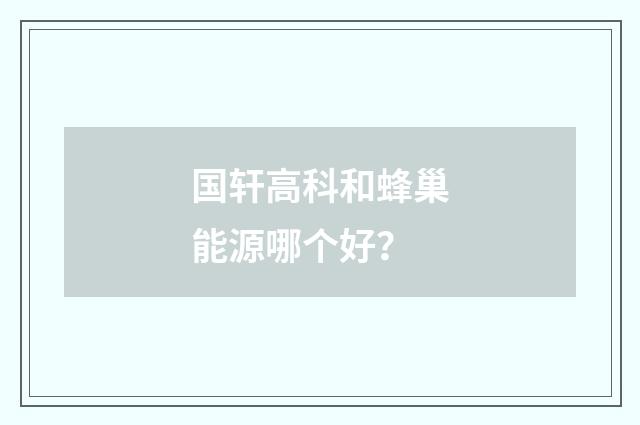 国轩高科和蜂巢能源哪个好？