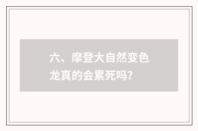 六、摩登大自然变色龙真的会累死吗?