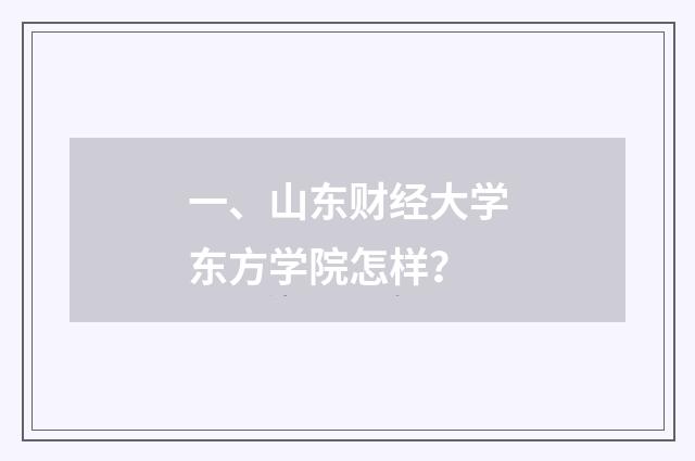 一、山东财经大学东方学院怎样?