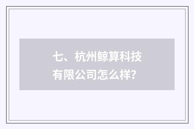七、杭州鲸算科技有限公司怎么样？