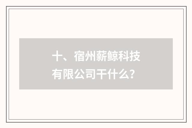 十、宿州薪鲸科技有限公司干什么？