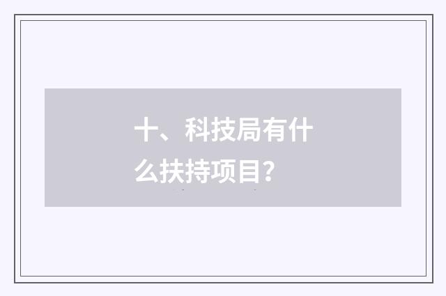 十、科技局有什么扶持项目？