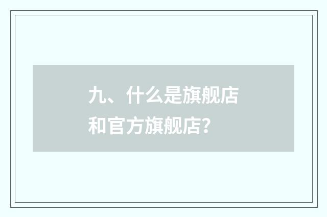 九、什么是旗舰店和官方旗舰店?