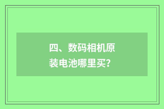四、数码相机原装电池哪里买?