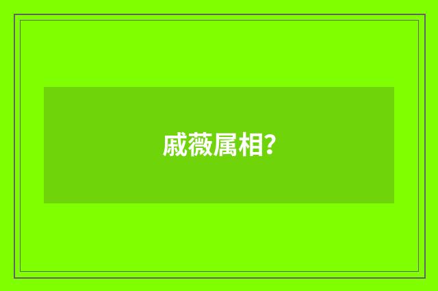 戚薇属相?
