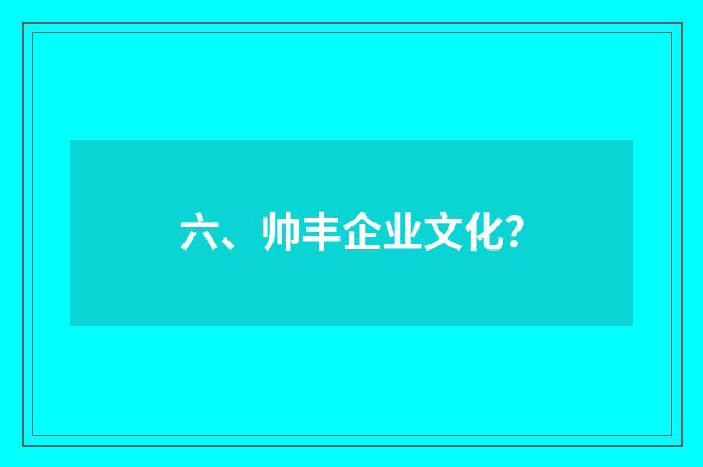 六、帅丰企业文化？