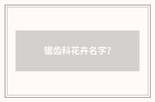 锯齿科花卉名字?