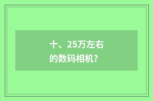 十、25万左右的数码相机？