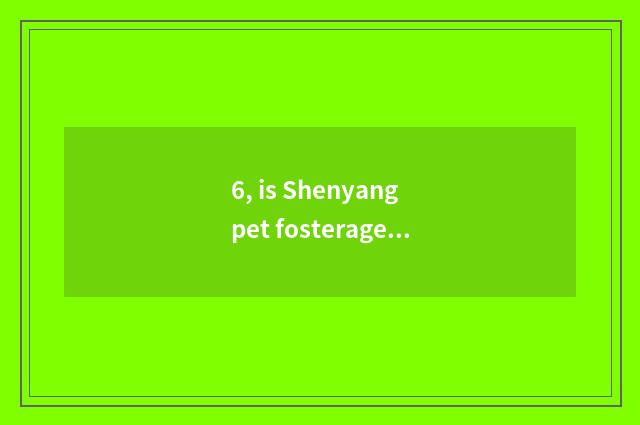 6, is Shenyang pet fosterage in? The pet ask sb to bring up one's child that nor